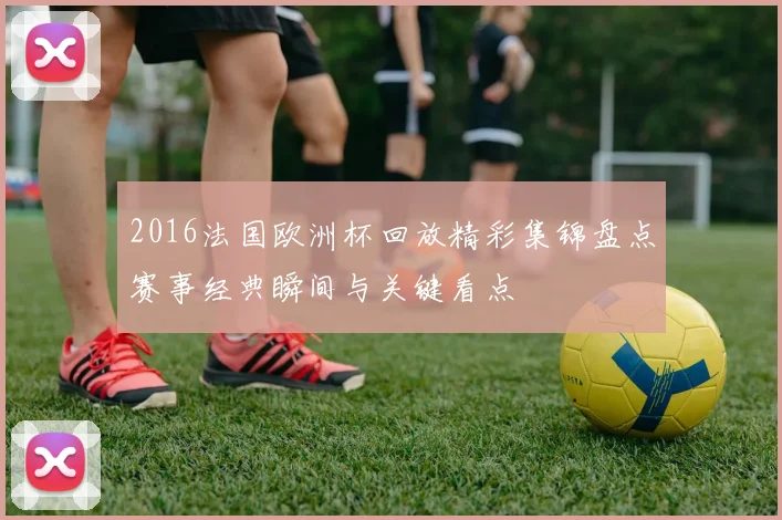 2016法国欧洲杯回放精彩集锦盘点赛事经典瞬间与关键看点